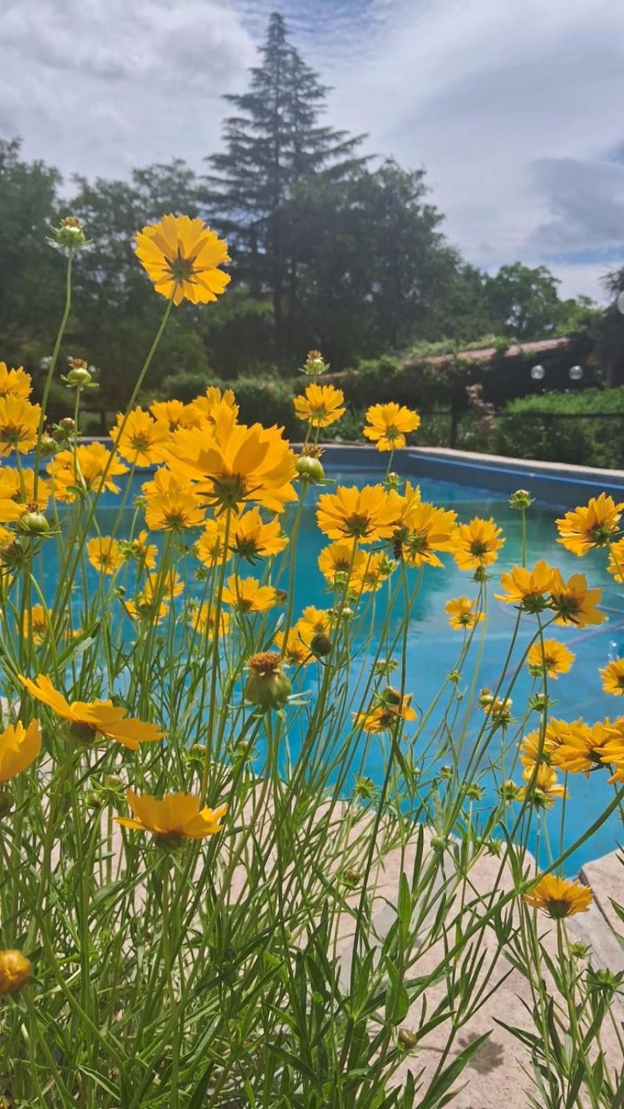 לה קומברה Hosteria Pastoral & Spa מראה חיצוני תמונה